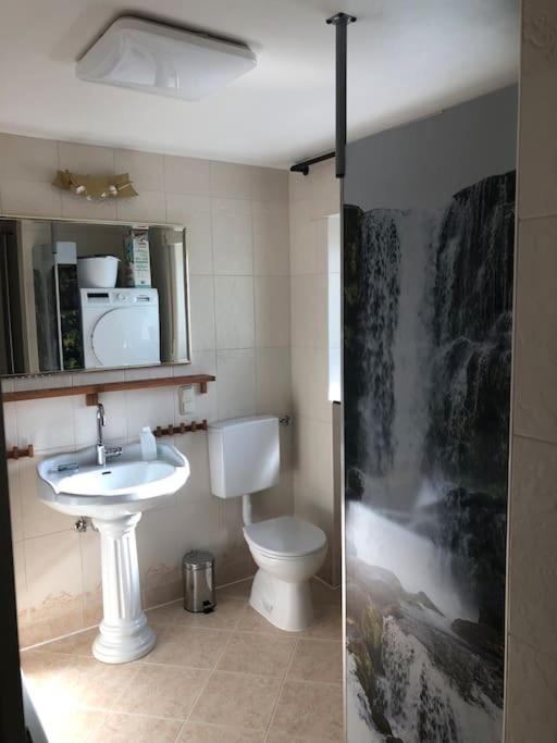 Ferienwohnung Eifel-Roedis بلانكينهييم المظهر الخارجي الصورة