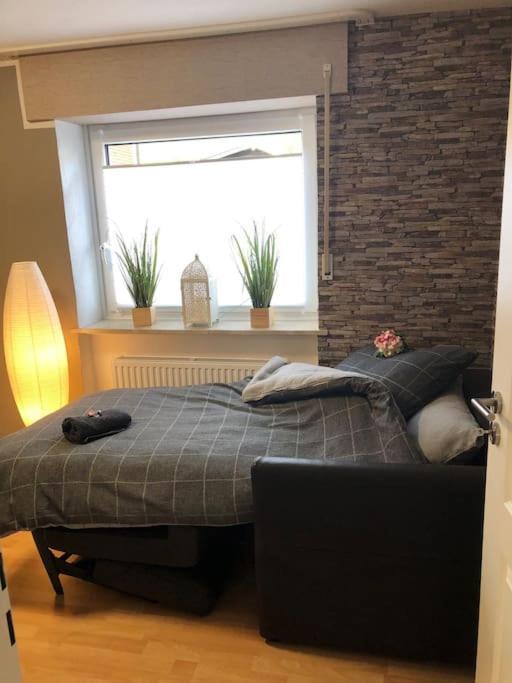 Ferienwohnung Eifel-Roedis بلانكينهييم المظهر الخارجي الصورة