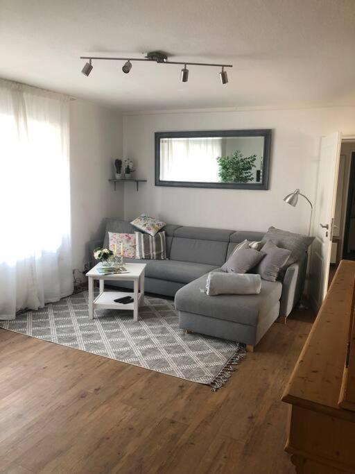 Ferienwohnung Eifel-Roedis بلانكينهييم المظهر الخارجي الصورة